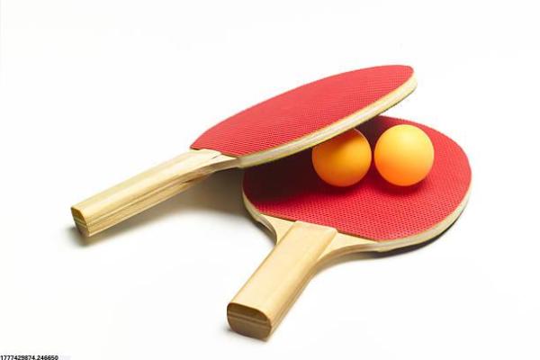 非学科类体育培训项目分类与分析(图1)